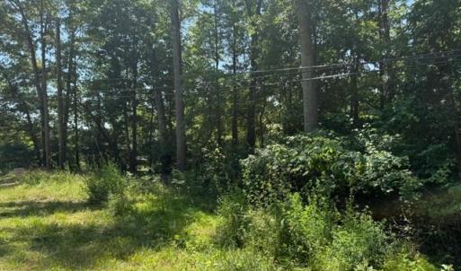 Photo #2 of 2878 Kentucky Ave, Phenix, VA 1.0 acres