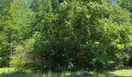 Photo #4 of 2878 Kentucky Ave, Phenix, VA 1.0 acres