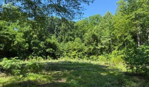 Photo #6 of 2878 Kentucky Ave, Phenix, VA 1.0 acres