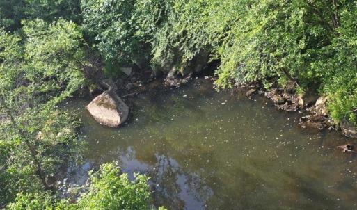 Photo #2 of 40 Lunenburg County Rd., Keysville, VA 93.0 acres
