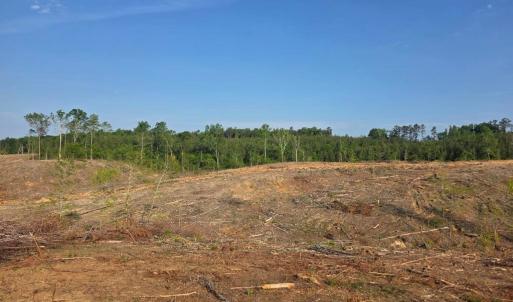 Photo #3 of 40 Lunenburg County Rd., Keysville, VA 93.0 acres