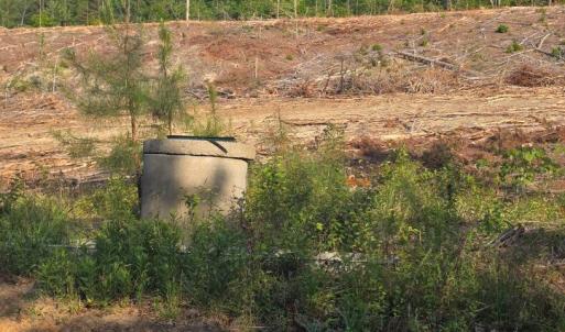 Photo #4 of 40 Lunenburg County Rd., Keysville, VA 93.0 acres