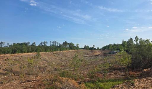 Photo #5 of 40 Lunenburg County Rd., Keysville, VA 93.0 acres