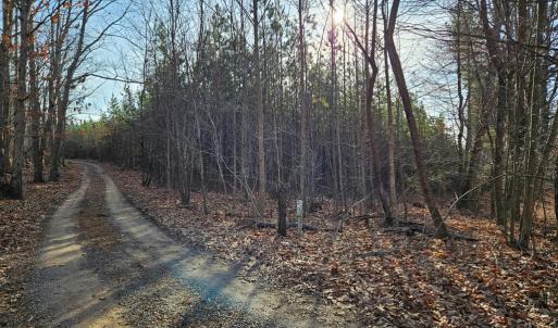 Photo #2 of 70 Ac Pleasant Mountain Dr, Rustburg, VA 70.0 acres