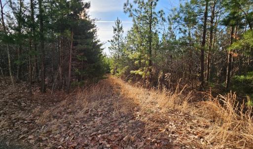 Photo #3 of 70 Ac Pleasant Mountain Dr, Rustburg, VA 70.0 acres