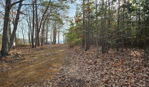 Photo #4 of 70 Ac Pleasant Mountain Dr, Rustburg, VA 70.0 acres