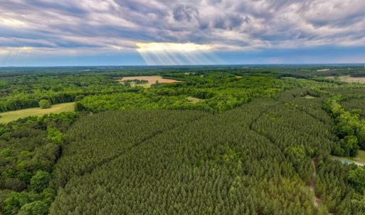 Photo #10 of West Creek Road, Crewe, VA 29.5 acres