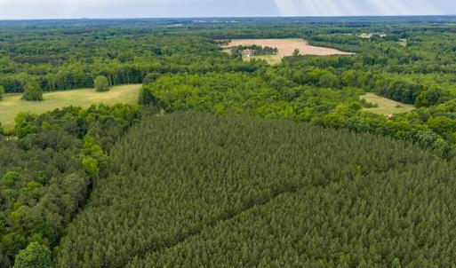 Photo #11 of West Creek Road, Crewe, VA 29.5 acres