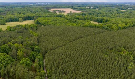 Photo #12 of West Creek Road, Crewe, VA 29.5 acres