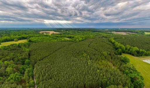 Photo #13 of West Creek Road, Crewe, VA 29.5 acres