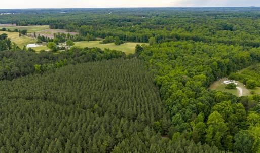 Photo #15 of West Creek Road, Crewe, VA 29.5 acres