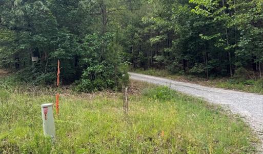 Photo #5 of West Creek Road, Crewe, VA 29.5 acres