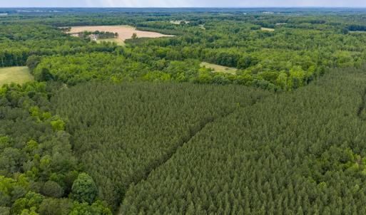 Photo #7 of West Creek Road, Crewe, VA 29.5 acres