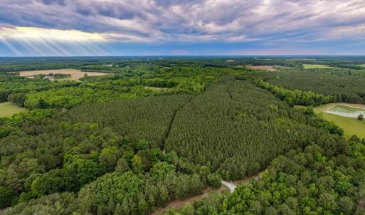 Photo #8 of West Creek Road, Crewe, VA 29.5 acres