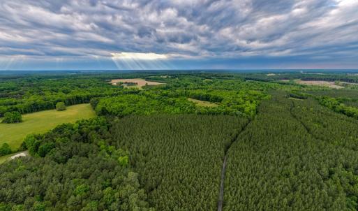 Photo #9 of West Creek Road, Crewe, VA 29.5 acres