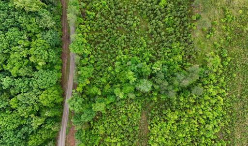 Photo #5 of Cumberland Road, Cumberland, VA 13.0 acres