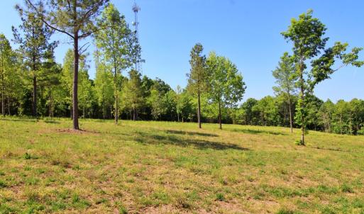 Photo #10 of Tower Hill Rd, Appomattox, VA 16.0 acres