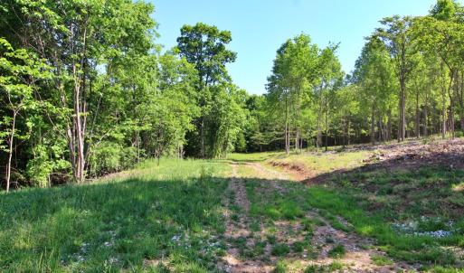 Photo #11 of Tower Hill Rd, Appomattox, VA 16.0 acres