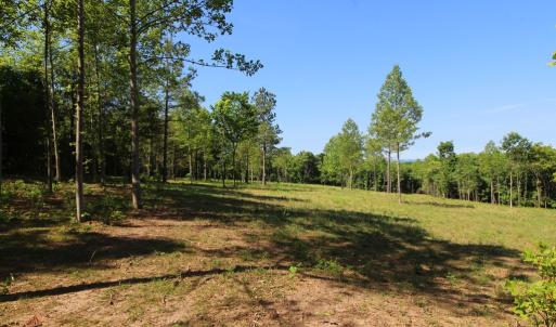 Photo #2 of Tower Hill Rd, Appomattox, VA 16.0 acres