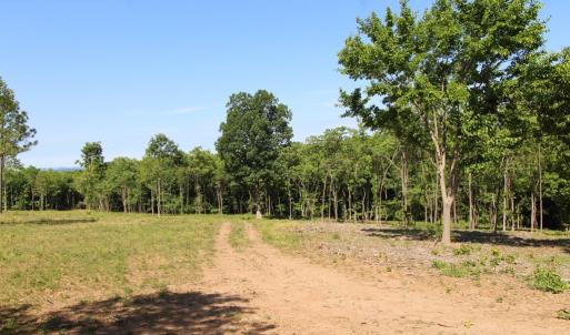 Photo #3 of Tower Hill Rd, Appomattox, VA 16.0 acres