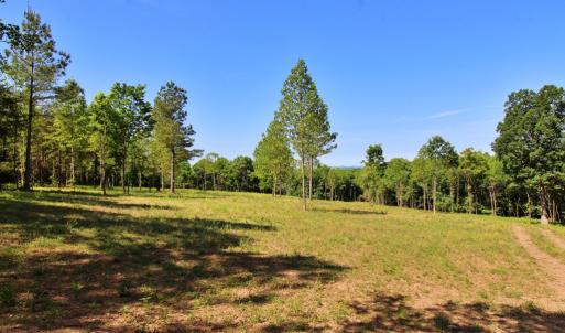 Photo #7 of Tower Hill Rd, Appomattox, VA 16.0 acres