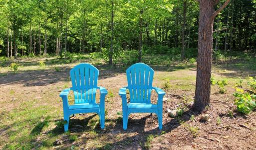 Photo #8 of Tower Hill Rd, Appomattox, VA 16.0 acres