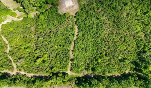 Photo #26 of Old Ridge Rd, Farmville, VA 18.0 acres