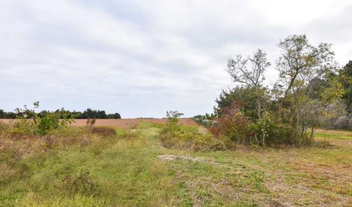 Photo #12 of lot 1A BELLEVUE CIR, ACCOMAC, VA 7.0 acres