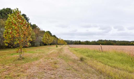 Photo #6 of lot 1A BELLEVUE CIR, ACCOMAC, VA 7.0 acres