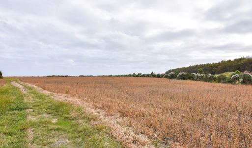 Photo #7 of lot 1A BELLEVUE CIR, ACCOMAC, VA 7.0 acres