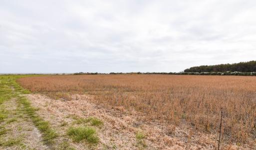 Photo #8 of lot 1A BELLEVUE CIR, ACCOMAC, VA 7.0 acres