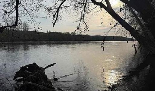 Photo #10 of Paynes Pond Road, Scottsville, VA 118.0 acres