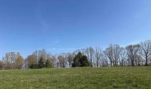Photo #12 of Paynes Pond Road, Scottsville, VA 118.0 acres