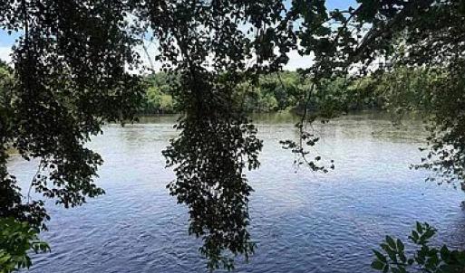 Photo #13 of Paynes Pond Road, Scottsville, VA 118.0 acres