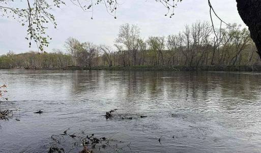 Photo #19 of Paynes Pond Road, Scottsville, VA 118.0 acres
