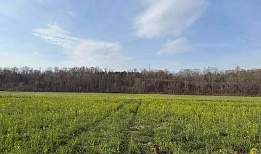 Photo #21 of Paynes Pond Road, Scottsville, VA 118.0 acres