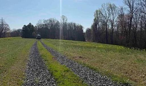 Photo #23 of Paynes Pond Road, Scottsville, VA 118.0 acres