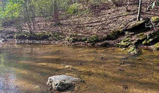 Photo #24 of Paynes Pond Road, Scottsville, VA 118.0 acres