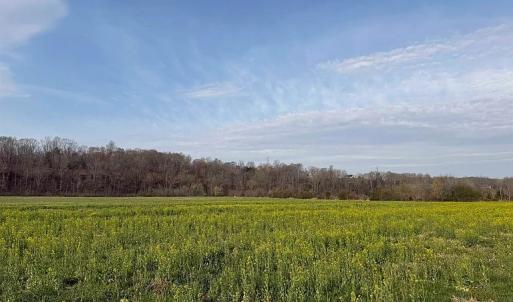 Photo #25 of Paynes Pond Road, Scottsville, VA 118.0 acres