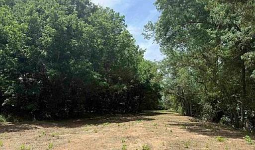 Photo #26 of Paynes Pond Road, Scottsville, VA 118.0 acres
