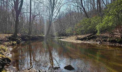 Photo #3 of Paynes Pond Road, Scottsville, VA 118.0 acres