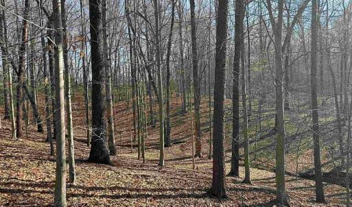 Photo #30 of Paynes Pond Road, Scottsville, VA 118.0 acres