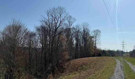 Photo #31 of Paynes Pond Road, Scottsville, VA 118.0 acres