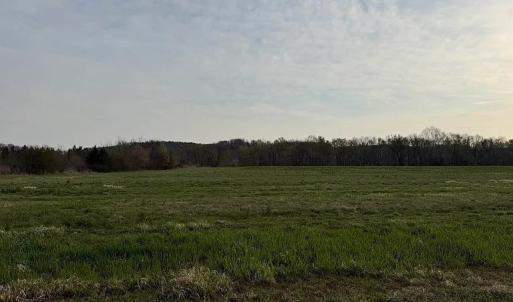 Photo #4 of Paynes Pond Road, Scottsville, VA 118.0 acres