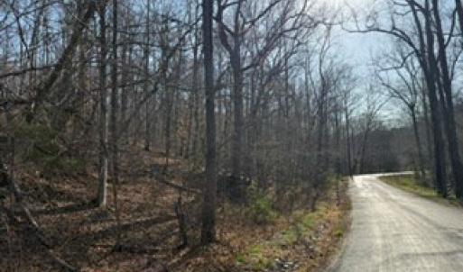 Photo #40 of Paynes Pond Road, Scottsville, VA 118.0 acres