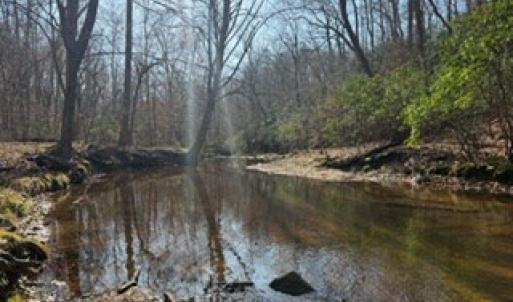 Photo #41 of Paynes Pond Road, Scottsville, VA 118.0 acres