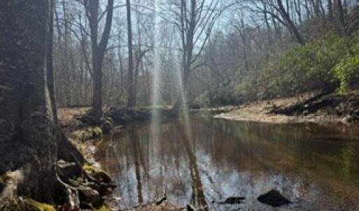 Photo #42 of Paynes Pond Road, Scottsville, VA 118.0 acres