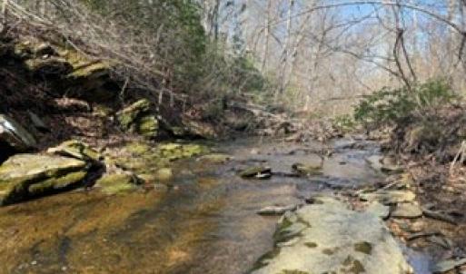 Photo #43 of Paynes Pond Road, Scottsville, VA 118.0 acres