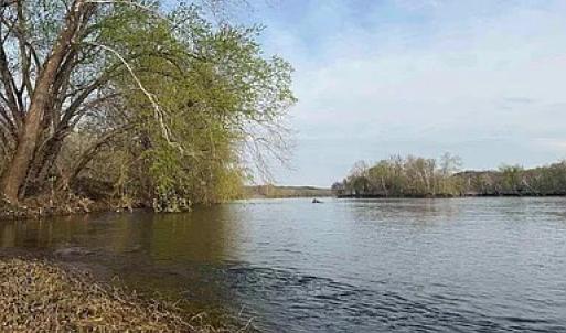 Photo #11 of Paynes Pond Road, Scottsville, VA 118.0 acres