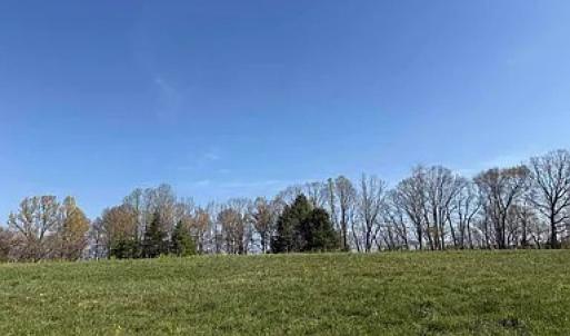 Photo #12 of Paynes Pond Road, Scottsville, VA 118.0 acres